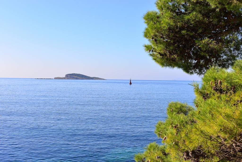 A&M Cavtat Family Apartment - 3 Bedrooms And Free Parking